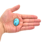 American-Mined Natural Turquoise Cabochon 23.5mmx32mm Oval Shape