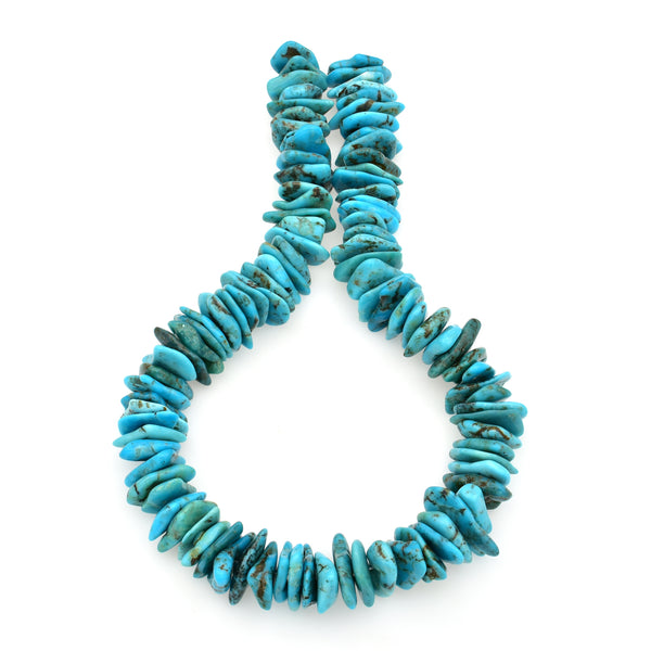 Bluejoy Genuine Indian-Style Natural Turquoise XL Free-Form Flat Disc Bead 16-inch Strand (20mm)