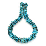 Bluejoy Genuine Indian-Style Natural Turquoise XL Free-Form Flat Disc Bead 16-inch Strand (17mm)
