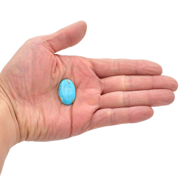 American-Mined Natural Turquoise Cabochon 16.5x26.5mm Oval Shape