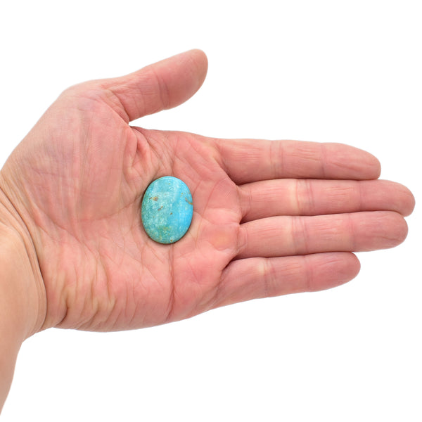 American-Mined Natural Turquoise Cabochon 21.5x29mm Oval Shape