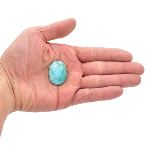 American-Mined Natural Turquoise Cabochon 23x30mm Oval Shape
