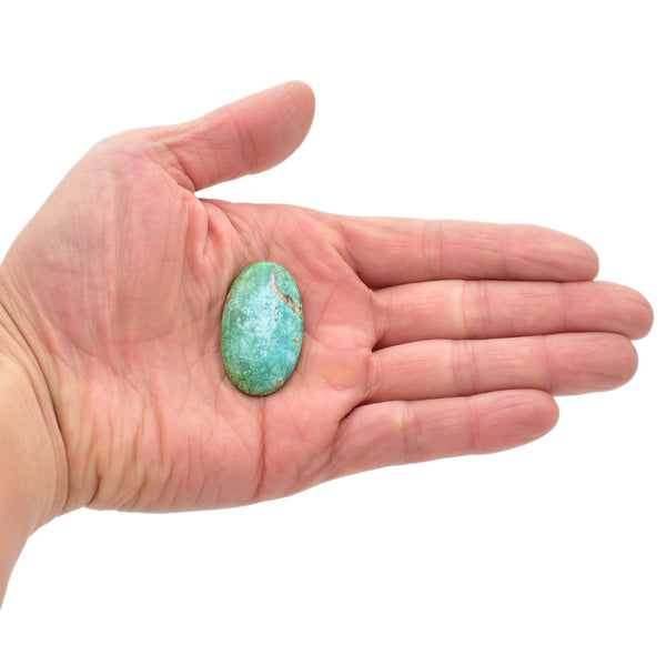 American-Mined Natural Turquoise Cabochon 22x37mm Oval Shape
