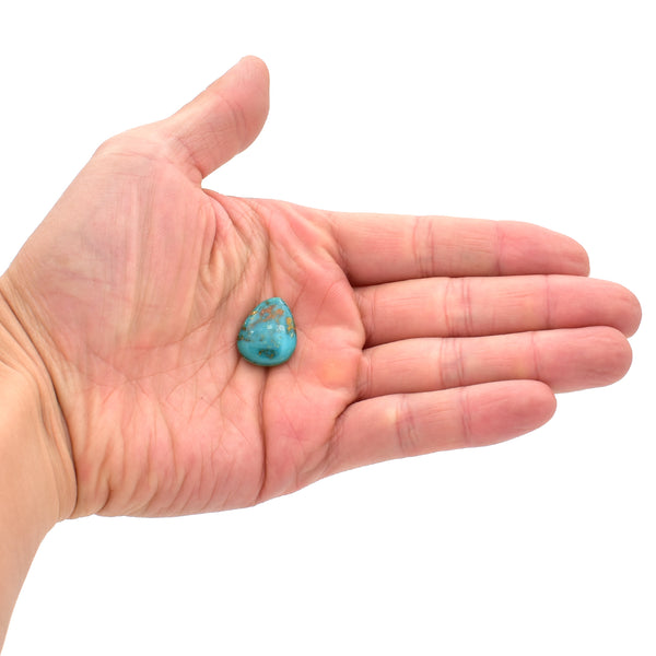 American-Mined Natural Turquoise Cabochon 16mmx19mm Free-Form Shape