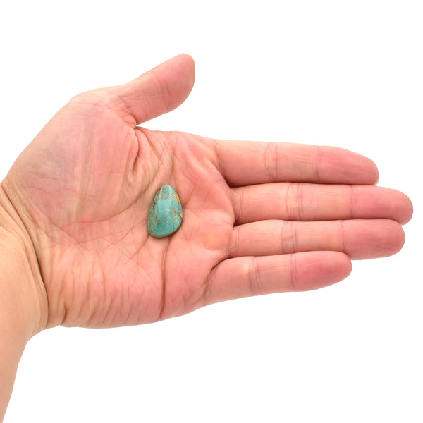 American-Mined Natural Turquoise Cabochon 15mmx23.5mm Free-Form Shape