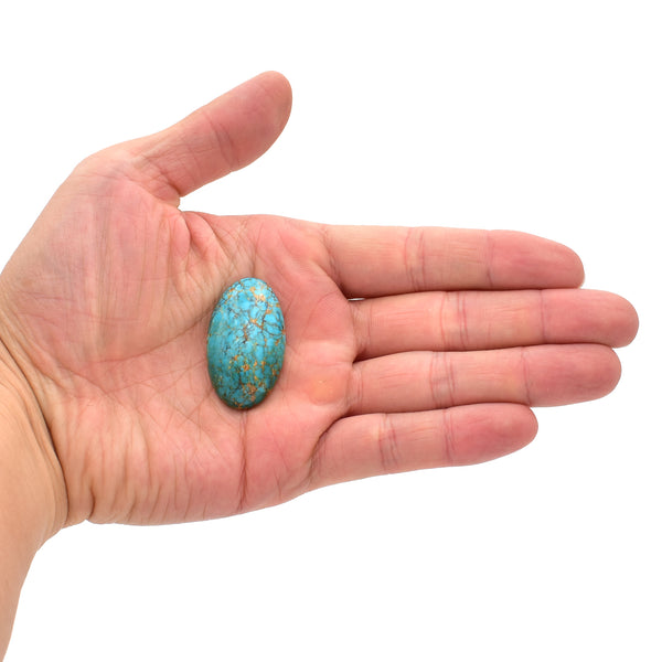 American-Mined Natural Turquoise Cabochon 21.5mmx35mm Oval Shape