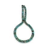 Genuine Natural American Turquoise Graduated Roundel Bead 16 inch Strand (8mm-11mm)